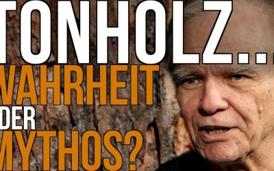 Die große Tonholz-Debatte – Kannst DU den Unterschied hören?